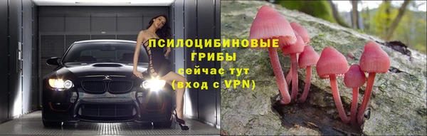 мескалин Лабытнанги
