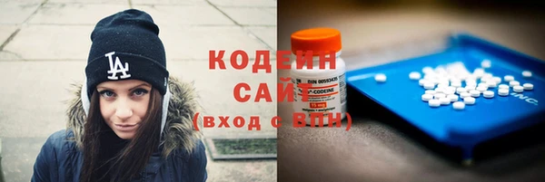 дмт Ладушкин