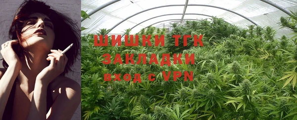 дмт Ладушкин