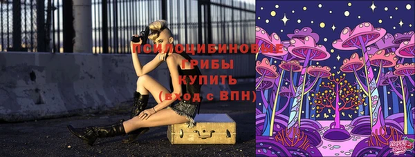 мескалин Лабытнанги